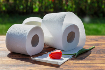 Three rolls of toilet paper on a background of lush greenery