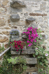 Fototapeta na wymiar wall of a stone building, decorated with flowers in pots