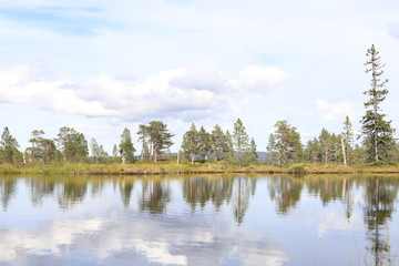 Fototapeta na wymiar Reflections in a lake