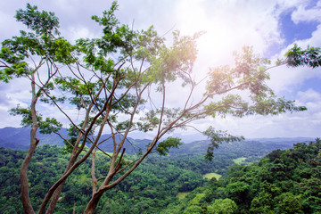View of the valley in the city of Kandy. Sri Lanka.