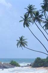 Fototapeta premium Sea view on tropical beach with breeze of Sri Lanka