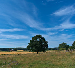 Landscape in Blekinge, Sweden