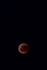 Blood moon at most red moment in black night sky