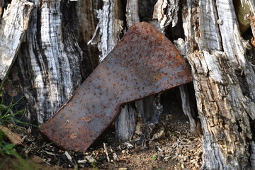 A rusty ax leans against a tree trunk.
