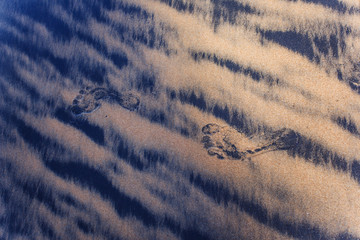 Black and white sand on the tropical beach of Sri Lanka
