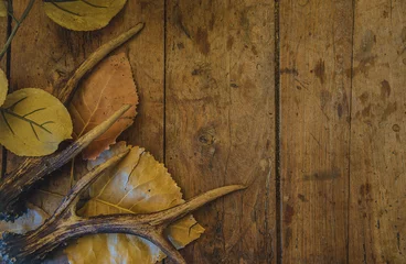 Foto op Canvas Beautiful deer antlers and autumn leaves on old wooden background with copy space © stsvirkun