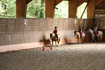Equitation