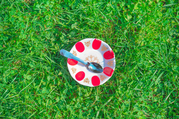 empty glasses on grass