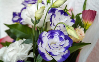 Eustoma in a beautiful bouquet with other flowers for the holiday