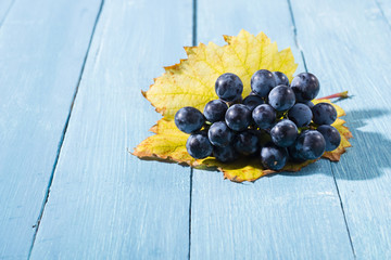 bunch of red grape with yellow leaf on old blue wood table background