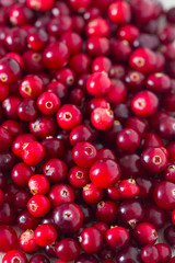fresh cranberries on white wooden surface