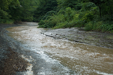 Naklejka na ściany i meble Four mile creek swollen after the morning rain at Wintergreen Gorge