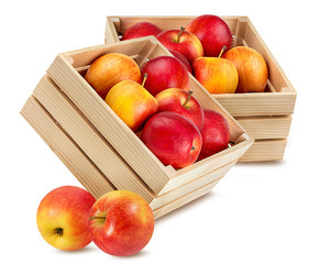 Box of fresh apple isolated on white background with clipping path