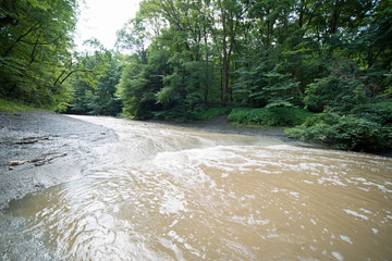 Four mile creek swollen after the morning rain in Wintergreen gorge