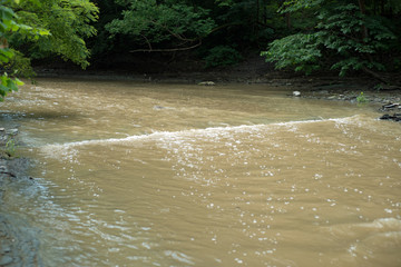 Fototapeta premium Four mile creek swollen after the morning rain, Wintergreen gorge