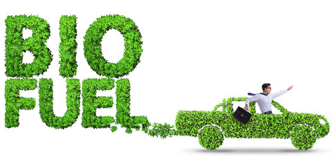 Concept of bio fuel and ecology preservation
