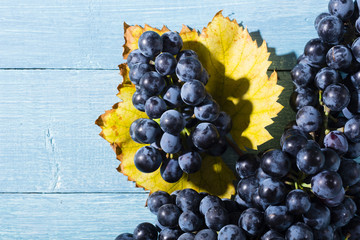 bunch of red grape with yellow leaf on old blue wood table background