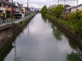Fototapeta premium kyoto