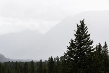 Canadian wilderness and deforestation on a stormy day in British Columbia