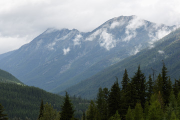 Canadian wilderness and deforestation on a stormy day in British Columbia