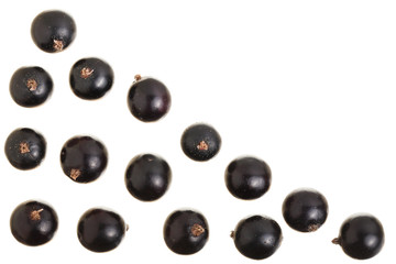 black currant isolated on white background with copy space for your text. Top view. Flat lay pattern