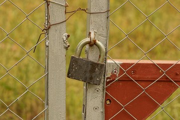 large gray and old padlock on an iron fence from a grid