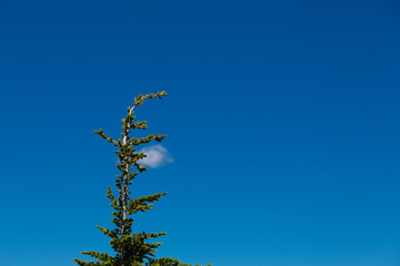 Crater lake in Oregon, the deepest lake in North America
