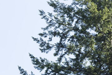 Colorful paint backgrounds