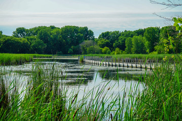 Board Walk over Wood Lake  at the Nature Preserve of Wood Lake Nature Center in Richfield, Minnesota