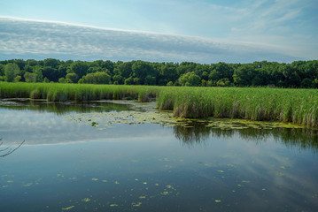 Tranquil Wood Lake at the Nature Preserve at Wood Lake Nature Center in Richfield, Minnesota