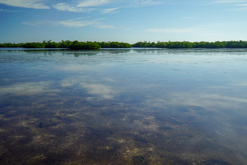 Stillness on a lake at J. N. "Ding" Darling National Wildlife Refuge at Sanibel Island, Florida before Hurricane Ian