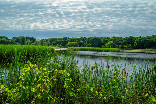 Nature Preserve Wood Lake Nature Center in Richfield, Minnesota