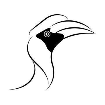 recommend clip art: hornbill line drawing