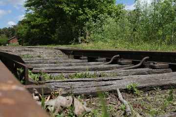 Vias de ferrocarril en el campo