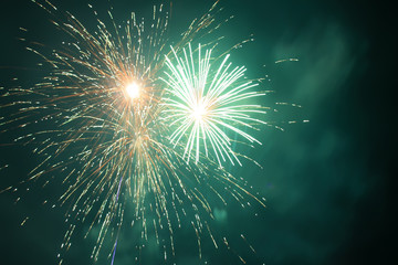 Fototapeta premium fireworks in the night sky