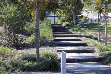Park Stair Foliage