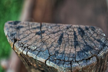 wood pattern background.