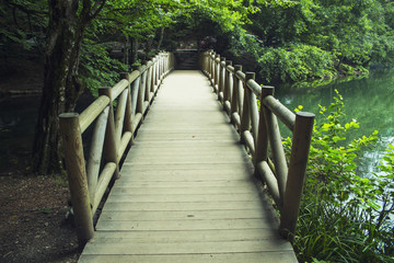 wooden bridge background in bolu yedigoller