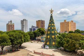 Tropical Christmas Tree, Christmas Tree at the Amazonas Theater