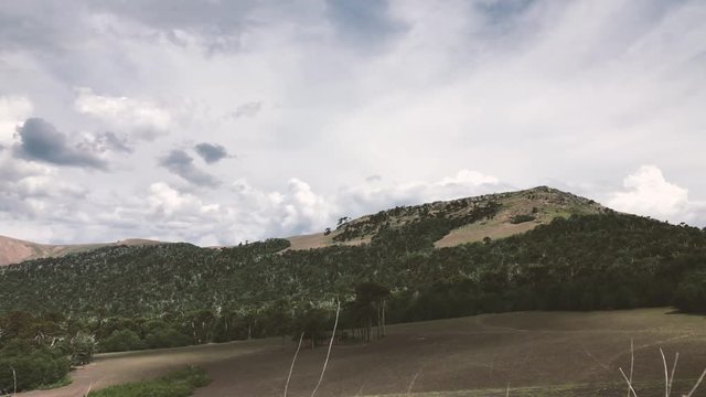 Mountains covered in araucarias time lapse