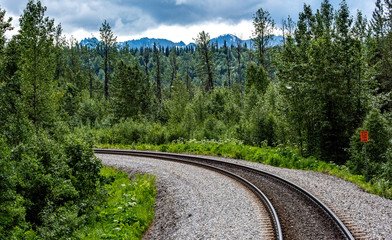 Light blue northern sky and boreal forest frame the Alaska Railroad