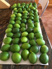 もぎ立てライム