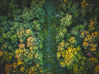Tree Landscapes
