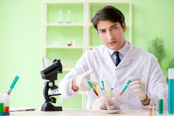 Fototapeta premium Lab assistant testing GMO chicken