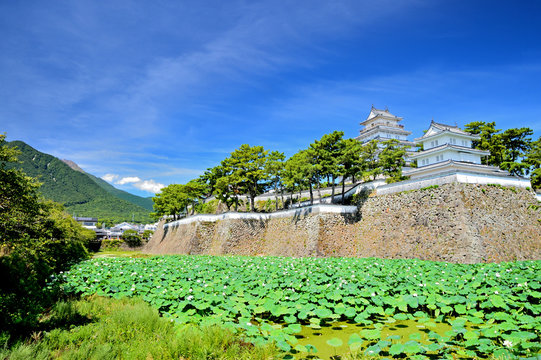 蓮池と島原城　長崎県島原市