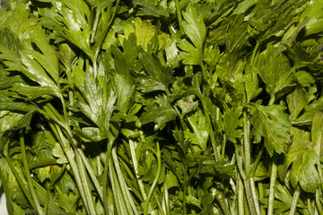 parsley isolated on white background
