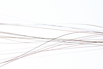 Black woman hair close-up