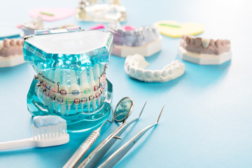 orthodontic model and dentist tool - demonstration teeth model of varities of orthodontic bracket...