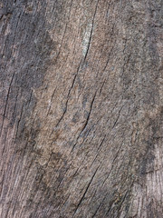 Obraz premium old wood wall background