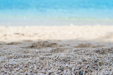 Fototapeta na wymiar shell and sand ocean and sky background